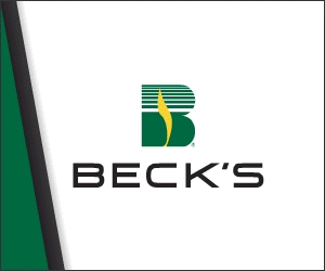 Animated Beck's Hybrids banner ad